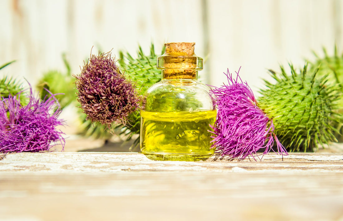 Biljni macerat: bočica ulja s ljekovitim biljem