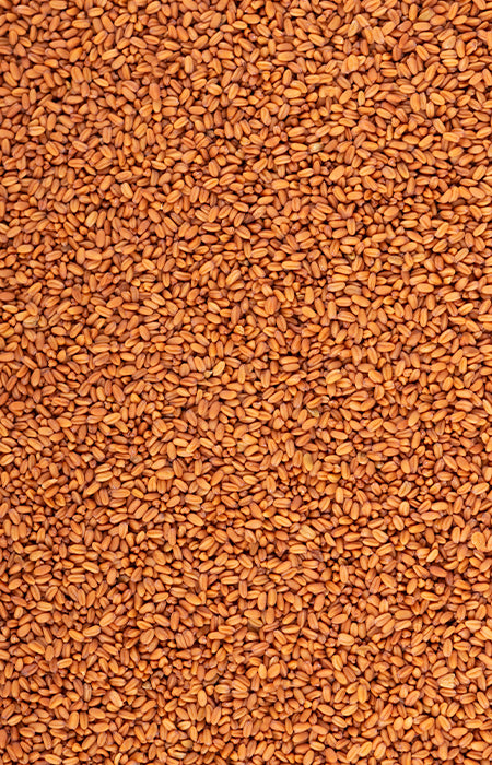 Brašno divljeg lana, 500 g