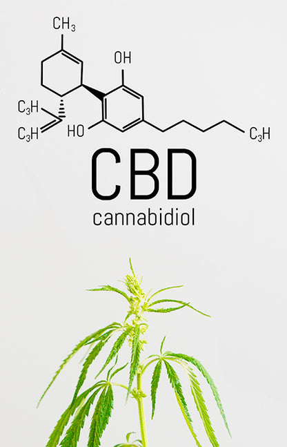 Triple CBD bioactive moisturizer 50ml