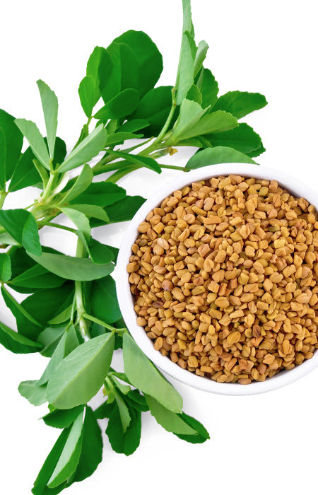 Piskavica Plus u prahu, 250 g