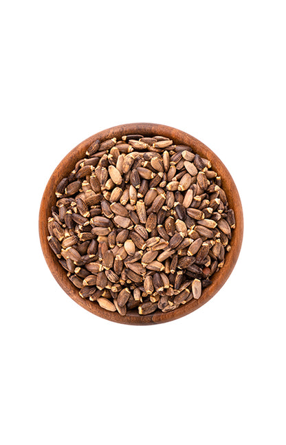 Protein konoplje Strong 4 You, 400g